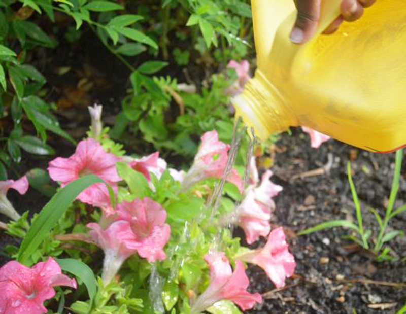 Upcycled Flower Watering Jug