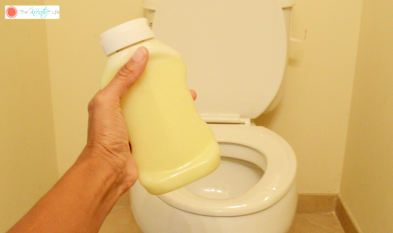 DIY Toilet Cleaner Gel